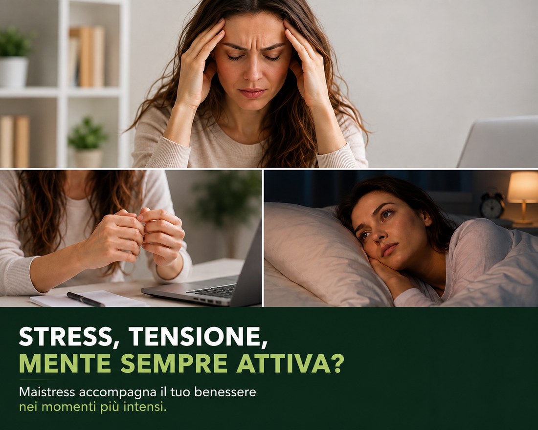 MAISTRESS di Donà Medical - immagine prodotto 5