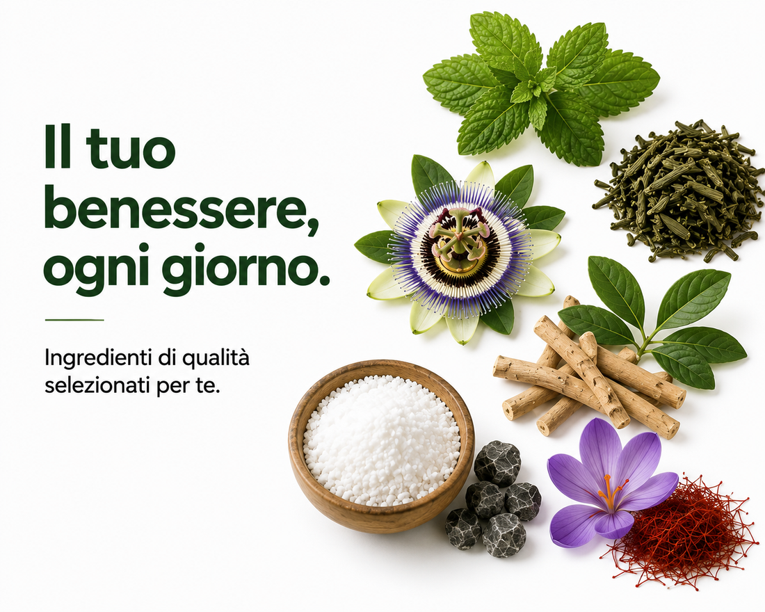 MAISTRESS di Donà Medical - immagine prodotto 3