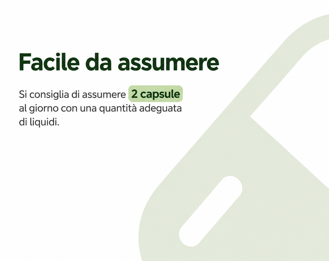 MAISTRESS di Donà Medical - immagine prodotto 4