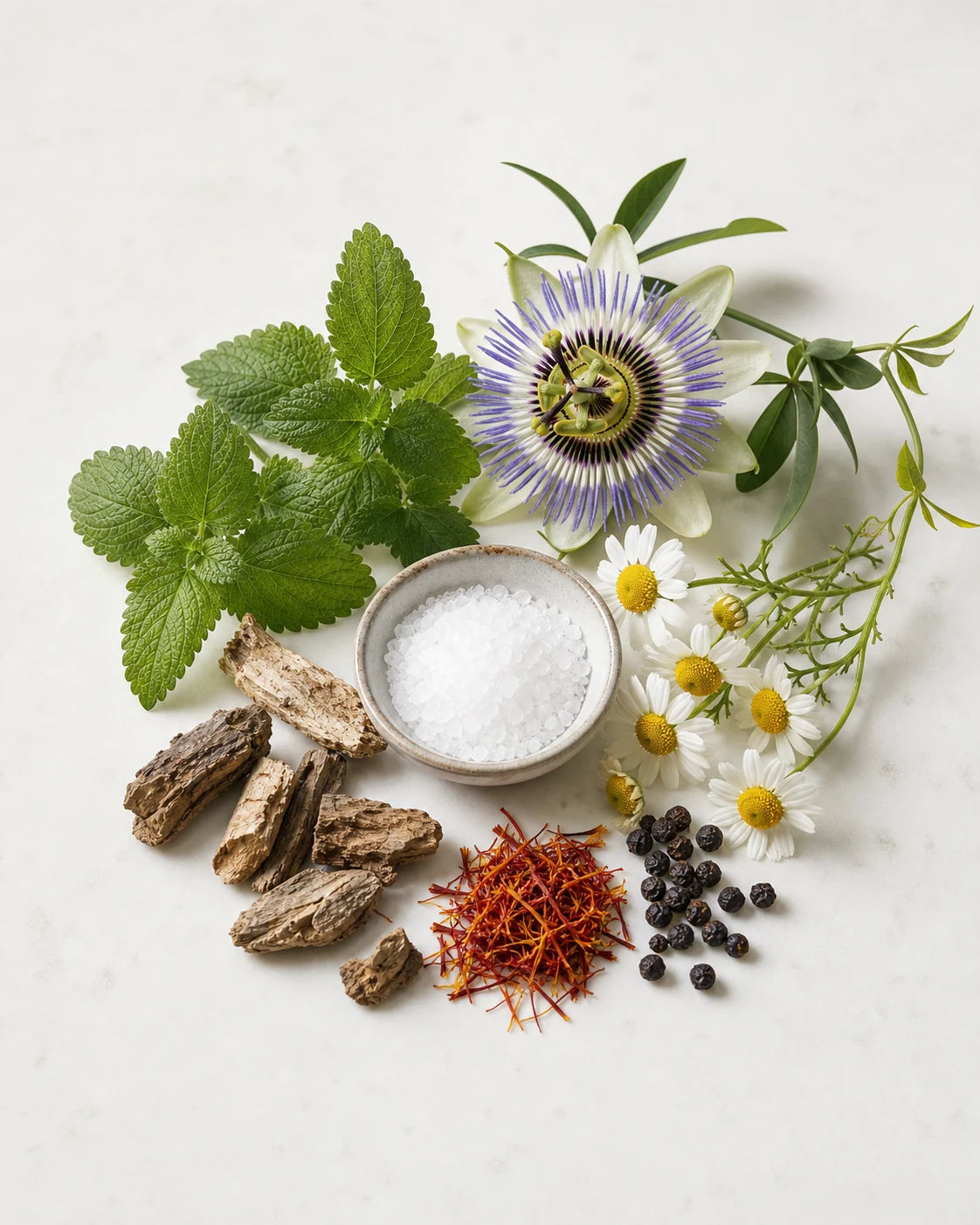 Ingredienti principali della formula MAISTRESS